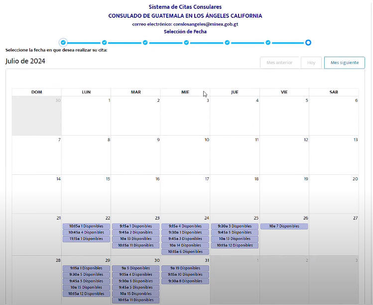 Calendario para tramitar las citas consulares y horas disponibles.